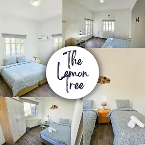 The Lemon Tree Auberge de jeunesse